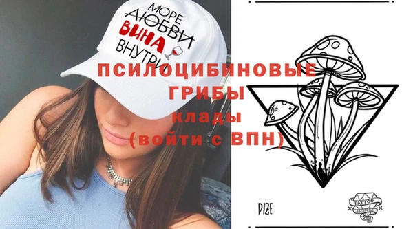 Альфа ПВП Армянск
